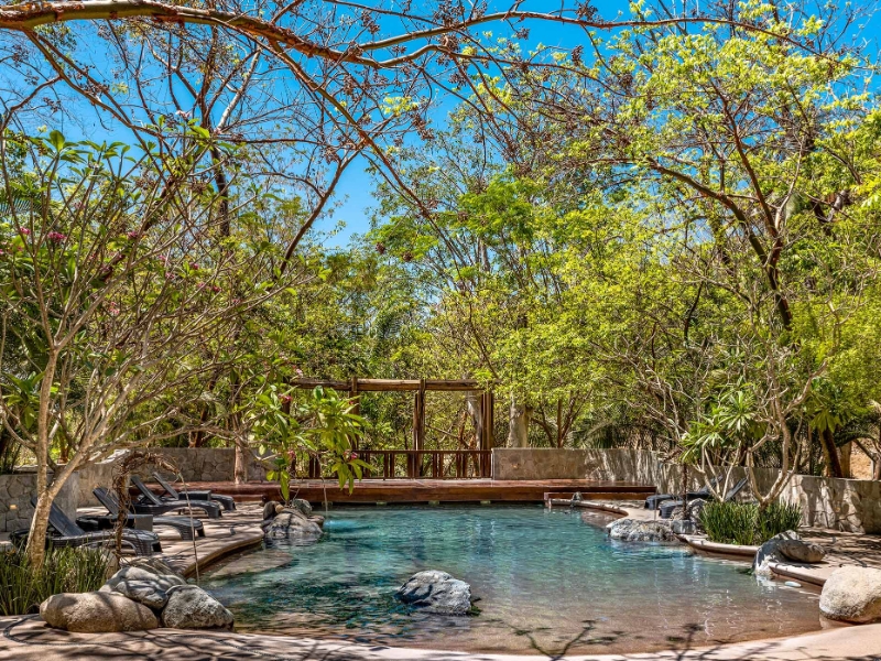 Natural Pool