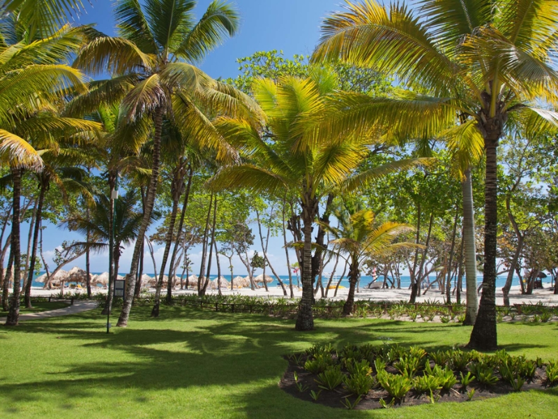 Outdoors Beach