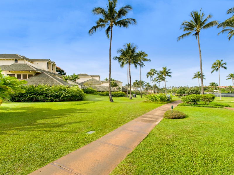 Manualoha