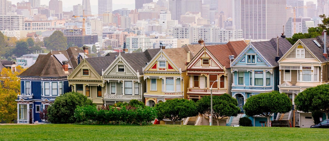 Painted Ladies