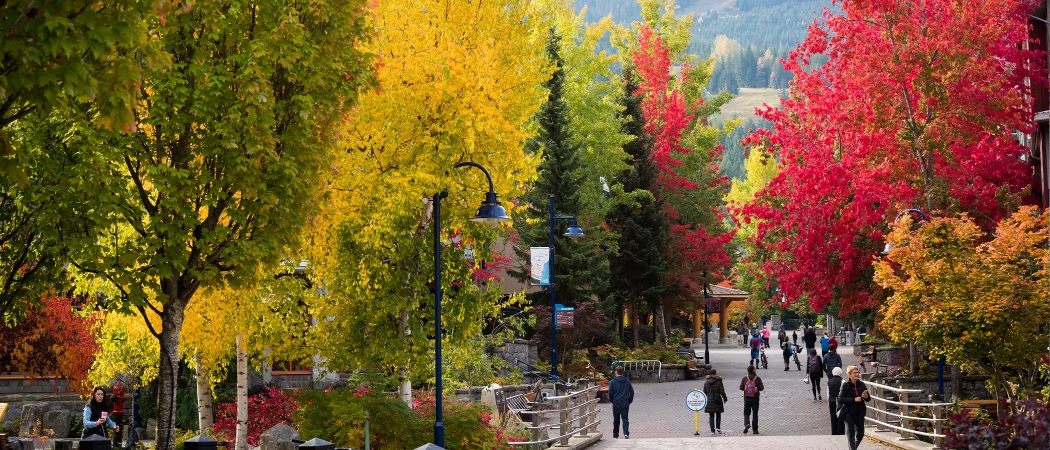 Whistler Village