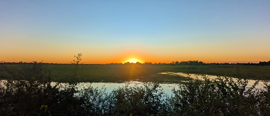 Morning in the Pantanal