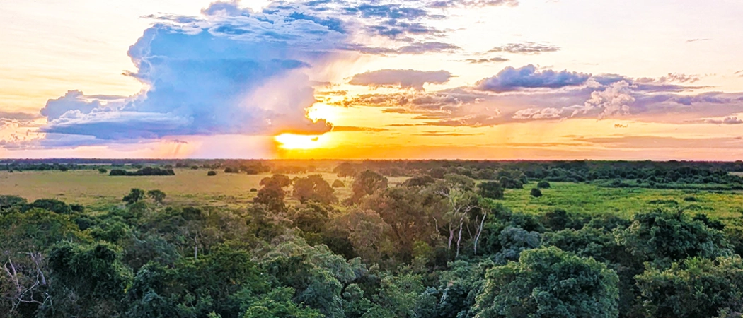 A stunning view of the Pantanal from above