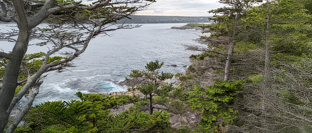 St Johns Newfoundland East Coast Trail Mickeleens Trail