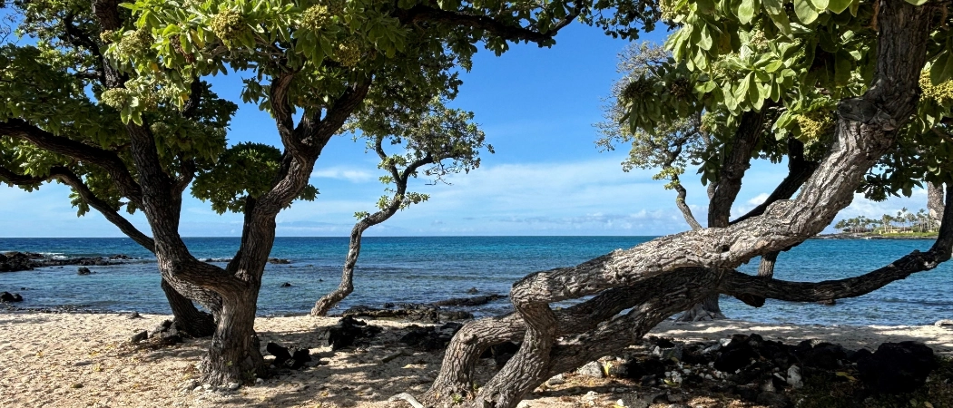Beach in Kona