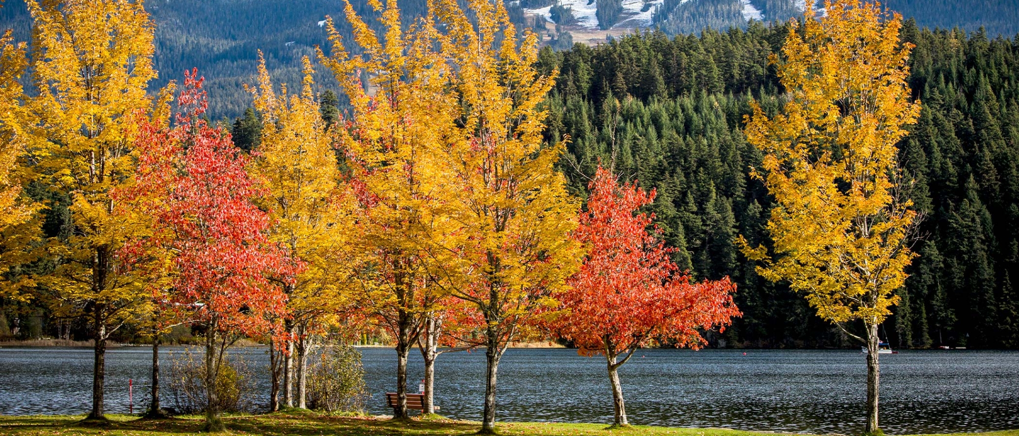 Fall in Whistler