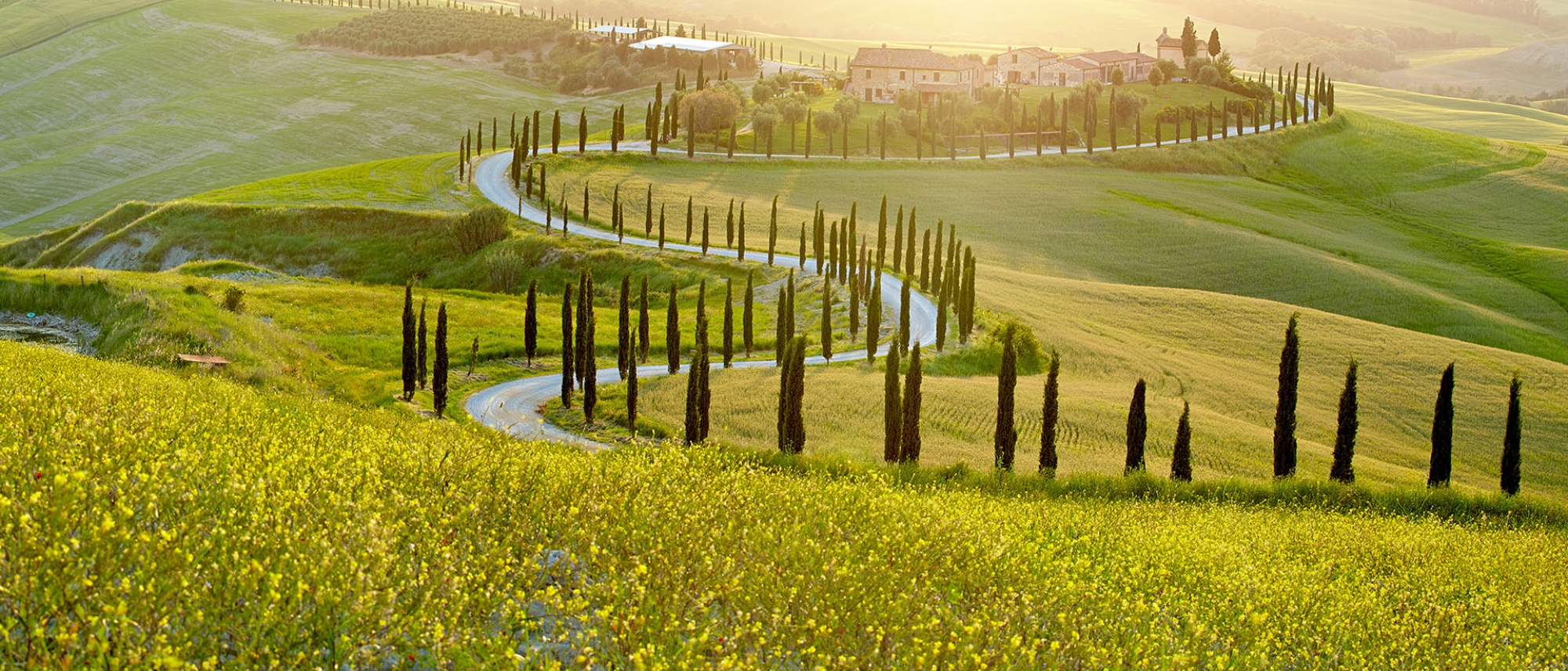 Sunny Fields Tuscany