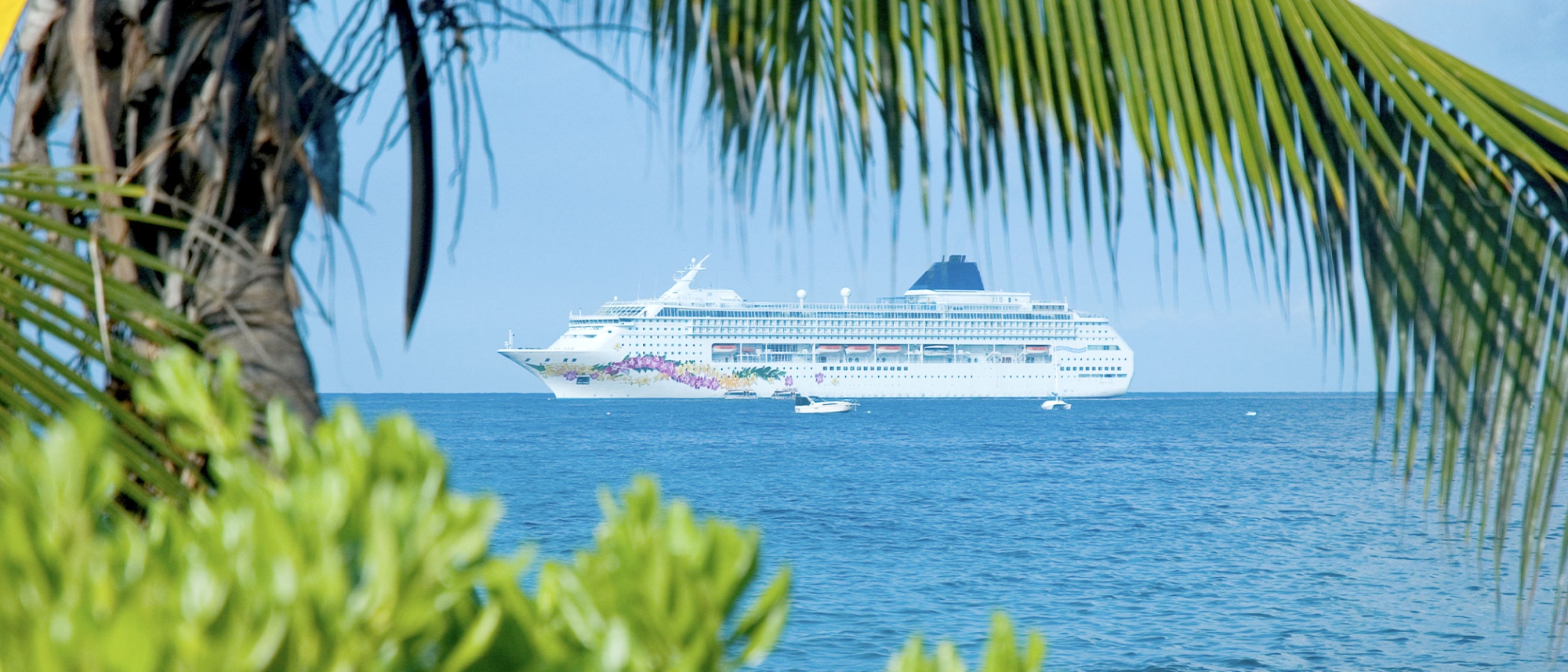 Cruise Lines