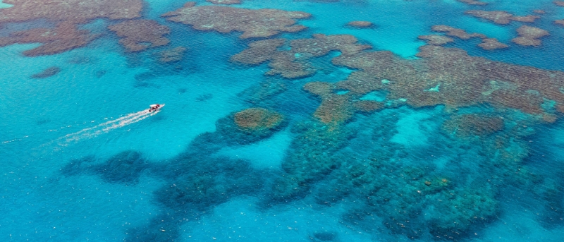 Cairns Barrier Reef