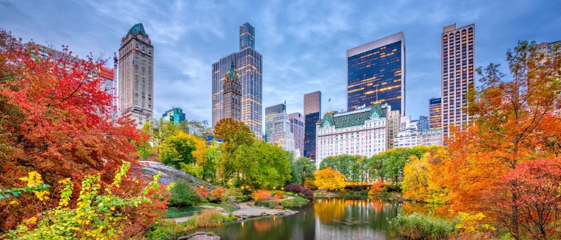 Central Park New York