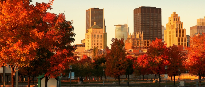 Fall in Montreal