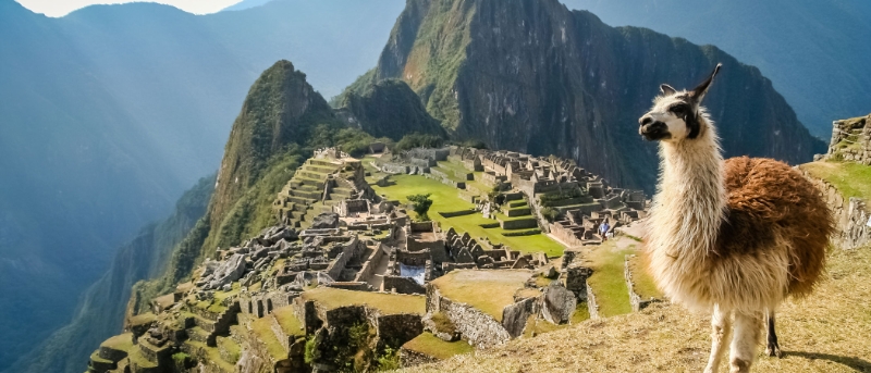 Machu Picchu