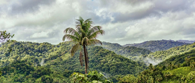 Errard Falls St Lucia